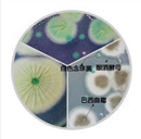 酵母霉菌显色培养基