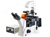 DXY-2倒置荧光生物显微镜